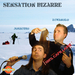  (Émissions : Sensation Bizarre - Sensation Bizarre n°11 (Bernard Minet))