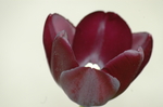 Image de Annana16