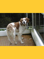 Image de Permissiondeminuit