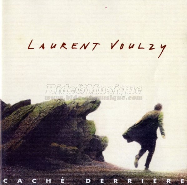 Laurent Voulzy - Paradoxal système