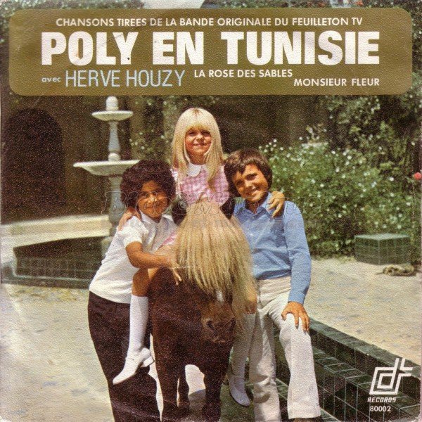 Hervé Houzy - Télébide