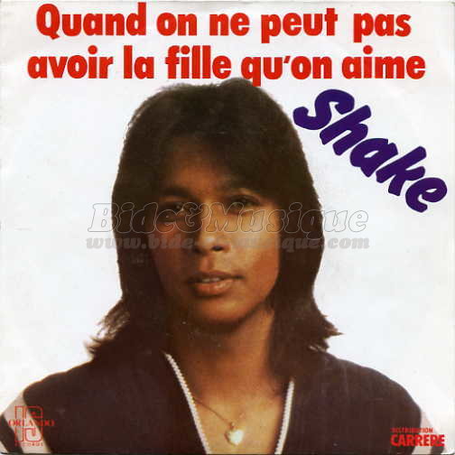 Shake - bides de l'été, Les