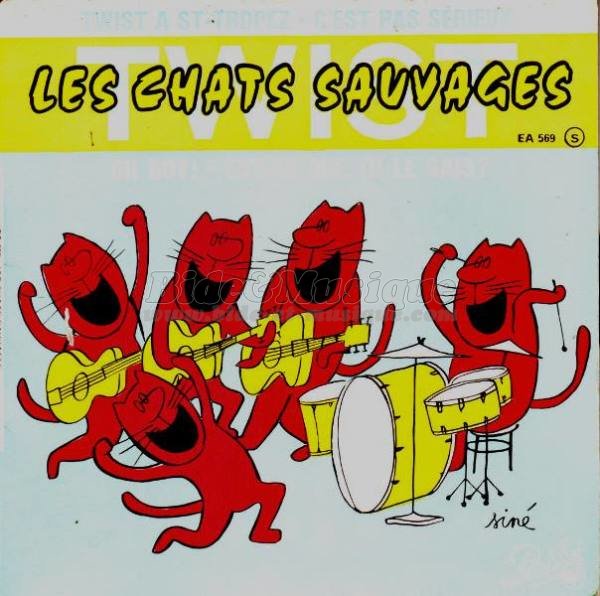 Les Chats Sauvages - C'est pas sérieux