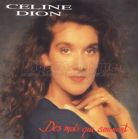 Céline Dion - Cours de danse bidesque, Le