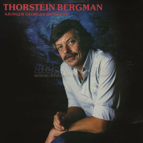 Thorstein Bergman - På en allmän bänk