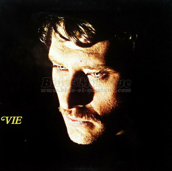 Johnny Hallyday - V.O. V.F. (version anglophone)