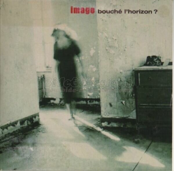 Imago - Ecolobide