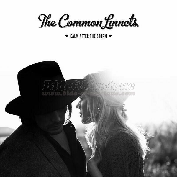 The Common Linnets - Calm after the storm