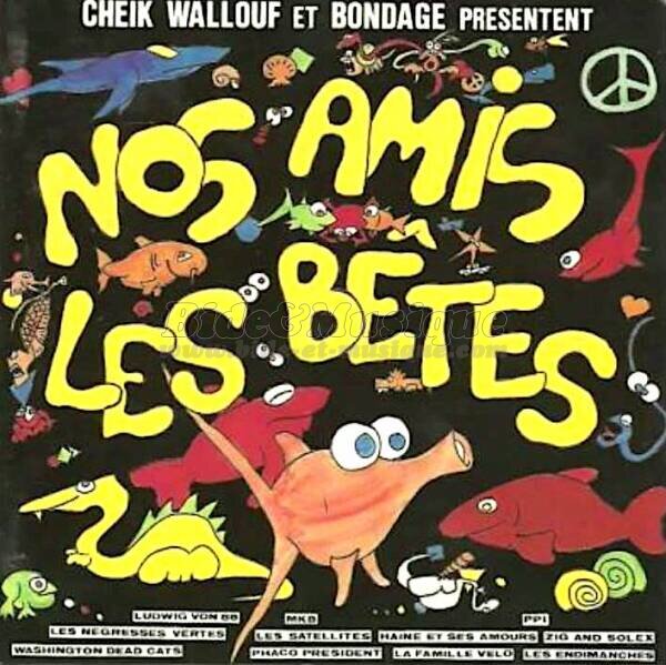 Washington Dead Cats - Le roi des singes