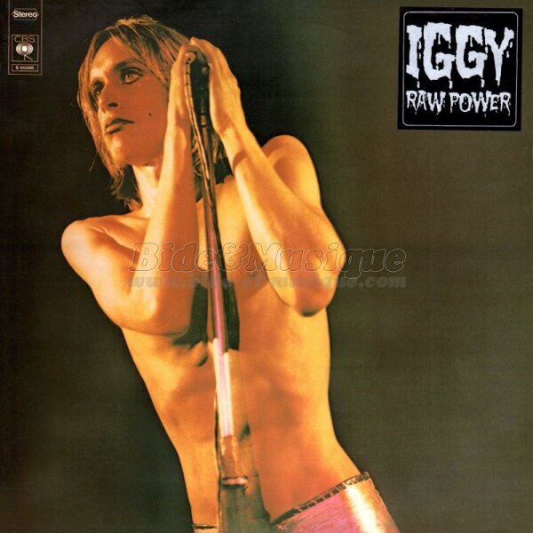 Iggy & The Stooges - Search and Destroy