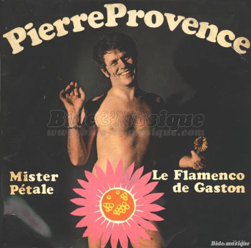 Pierre Provence - Le flamenco de Gaston