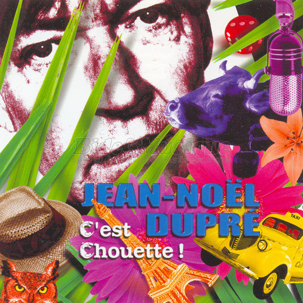 Jean-Noël Dupré - C'est chouette une chouette
