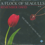 A Flock of Seagulls - Remember David