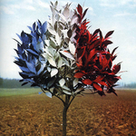 Elizabeth Vigna & Antoine - C'est du beau linge mon général