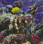 Katerine & Francis et ses Peintres - Salut � toi