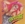 Vignette de Nina Hagen - Russischer Reggae