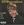 Vignette de Le Petit Prince - Mrs Brown