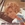 Vignette de Nana Gualdi und Alexander King - True true happiness