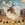 Vignette de Oliver Tree - Cowboys don't cry
