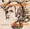 Vignette de Nino Ferrer - Forza Bide & Musica