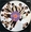 Vignette de The Twins - Biddish et Musique