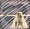Vignette de Ashford & Simpson - 80'