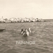 Pochette de Pain-Noir et Mina Tindle - Jamais l'or ne dure