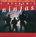 Pochette de Pascal Chevalier - L'Académie des Ninjas