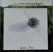 Pochette de The Gathering - On most surfaces (Inuït)