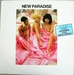 Pochette de New Paradise - Love always rules the fools