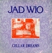 Pochette de Jad Wio - Paint it black