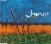 Pochette de James - Sometimes (Lester Piggott)