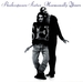 Vignette de Shakespear's Sister - I don't care