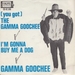 Pochette de Gamma Goochee - (You got) the Gamma Goochee