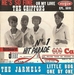 Vignette de The Chiffons - He's so fine