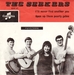 Vignette de The Seekers - I'll never find another you