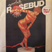Pochette de Rosebud - Money