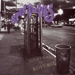Pochette de Spin Doctors - Two Princes